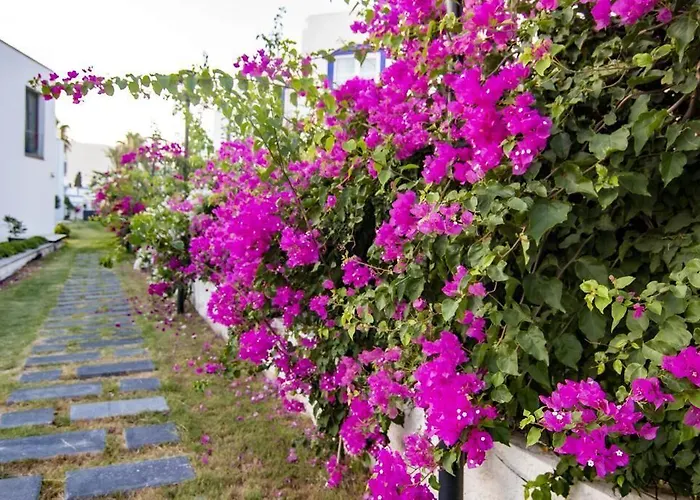 A'la Grand * Бодрум